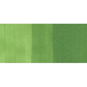 Copic Ciao YG17 Grass Green