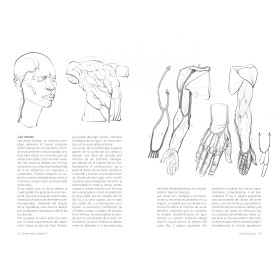 Anatomía artística 6. Manos y pies