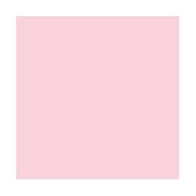 Brushmarker R519 Pale Pink